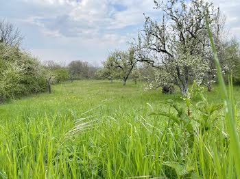 terrain à Saint-Martin-la-Garenne (78)