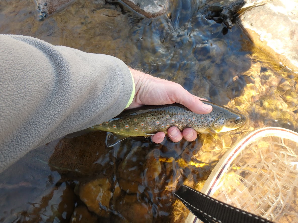 Brush Creek  Dave Weller's Fly Fishing Blog