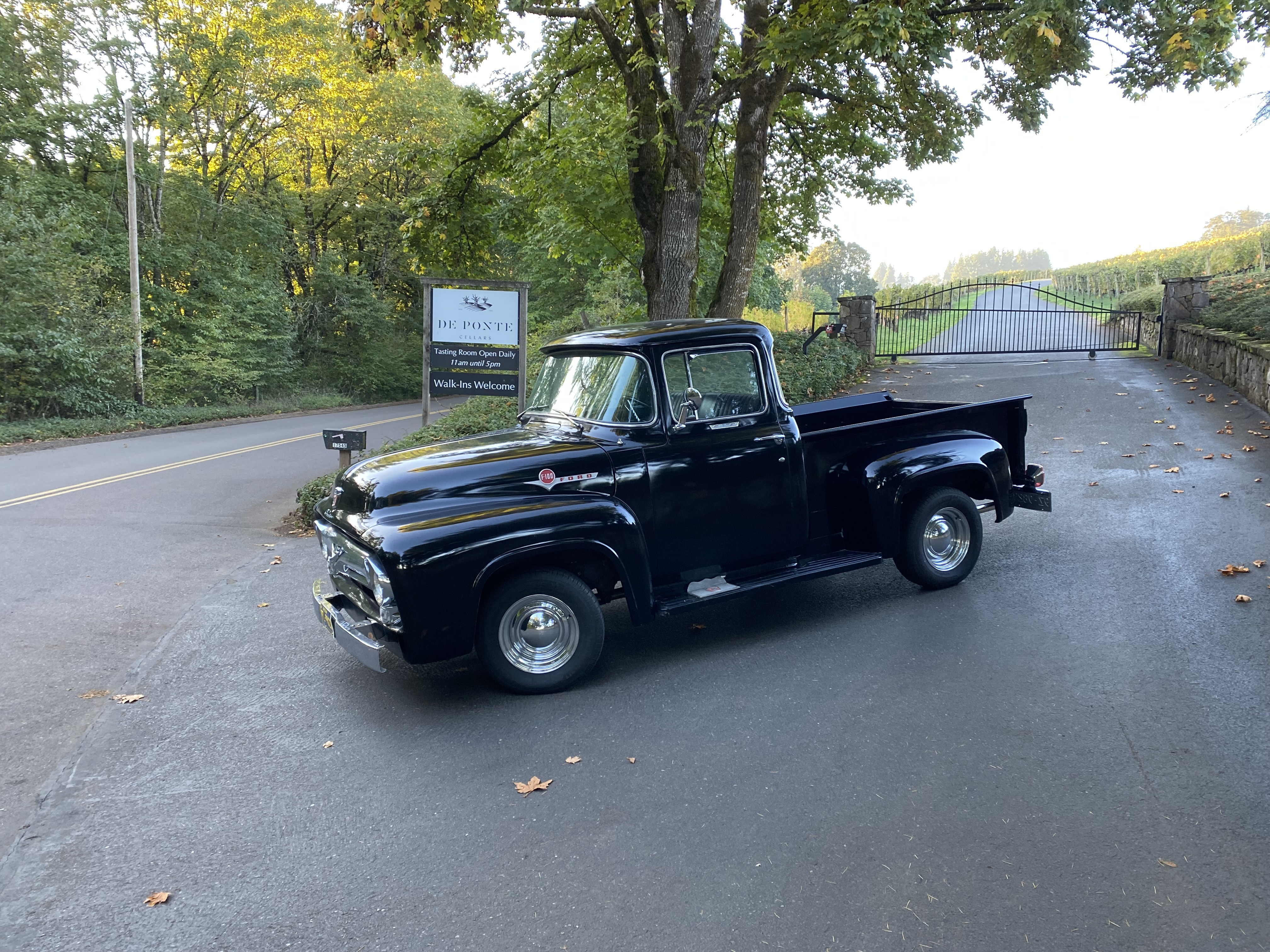 1956 Ford F-100 Truck Hire Portland