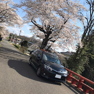 カローラフィールダー NZE161G