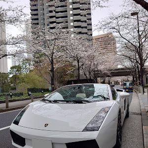 ガヤルドスパイダー GE07L1