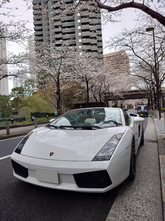 ガヤルドスパイダーのドライブ・桜に関するカスタム事例の投稿画像1枚目