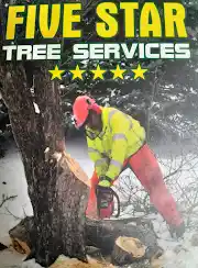 5 Star Tree Services Logo