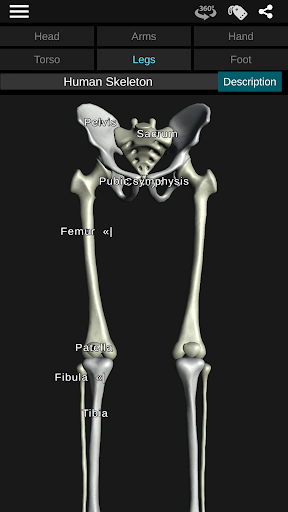 Screenshot Osseous System in 3D (Anatomy)