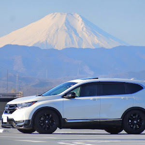 CR-V RW1