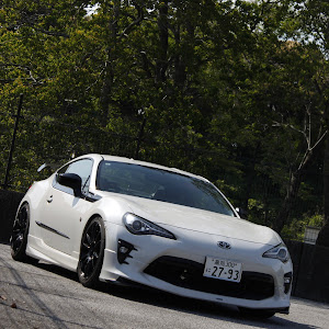 86 ZN6