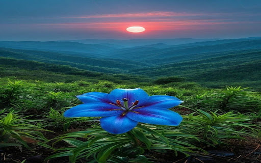 Blue Flowers Under the Mountain Sunset Wallpaper screenshot 1