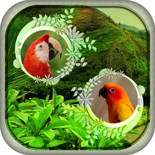 Nature Dual Photo Frame 攝影 App LOGO-APP開箱王