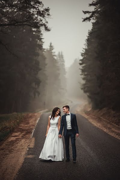 結婚式の写真家Ieva Vogulienė (ievafoto)。2017 11月29日の写真