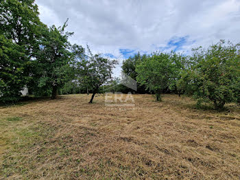 terrain à Athée-sur-Cher (37)