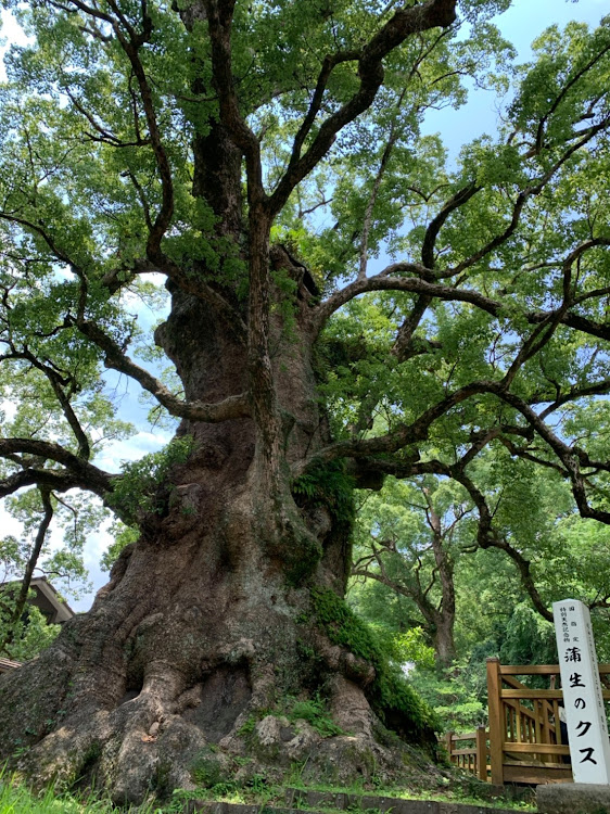 の投稿画像3枚目