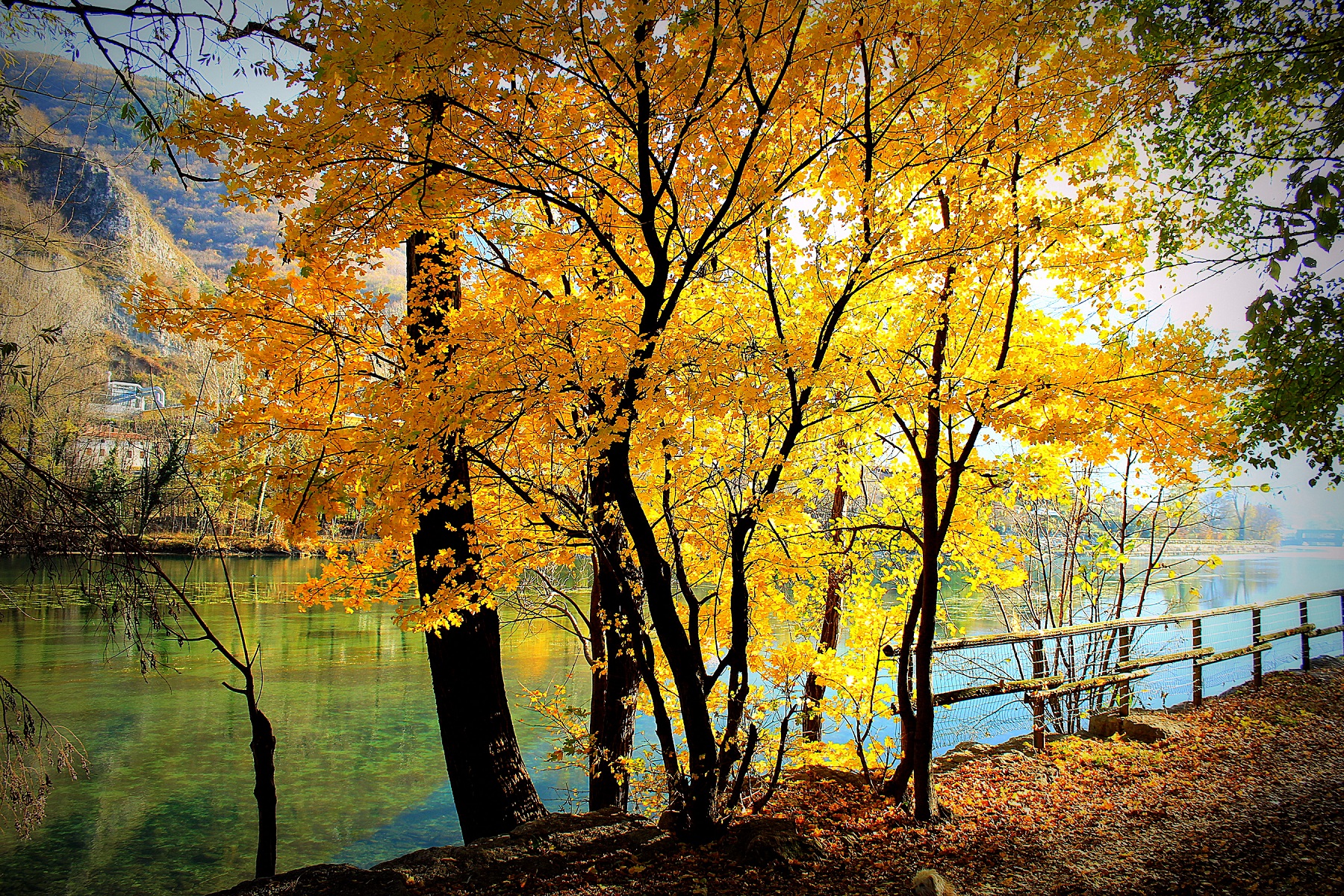 Autunno sul fiume  di yuna57