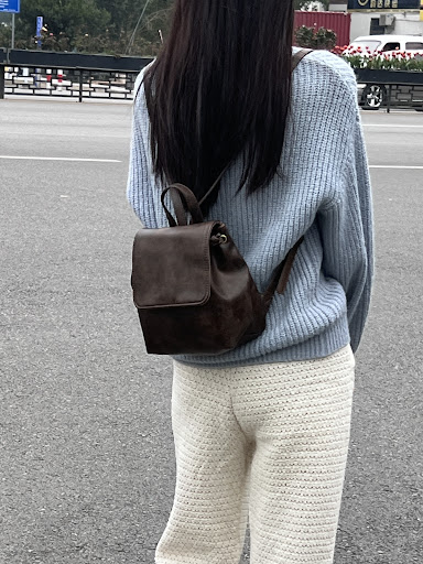 Title 29, Retro American Brown Backpack New Perfect for E...