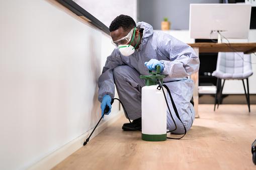 How to prepare your home before an exterminator servi.jpeg