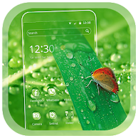 Green Nature Butterfly Waterdrop Theme