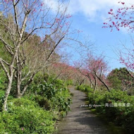 金針山 青山農場