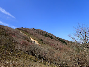 国見峠から御在所岳を望む