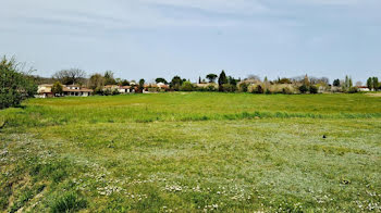 maison neuve à Merville (31)