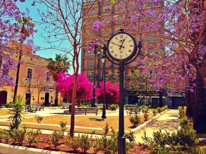 La piazza in fiore di Federican_ph