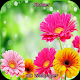 Download HD Flower Wallpaper For PC Windows and Mac 1.1