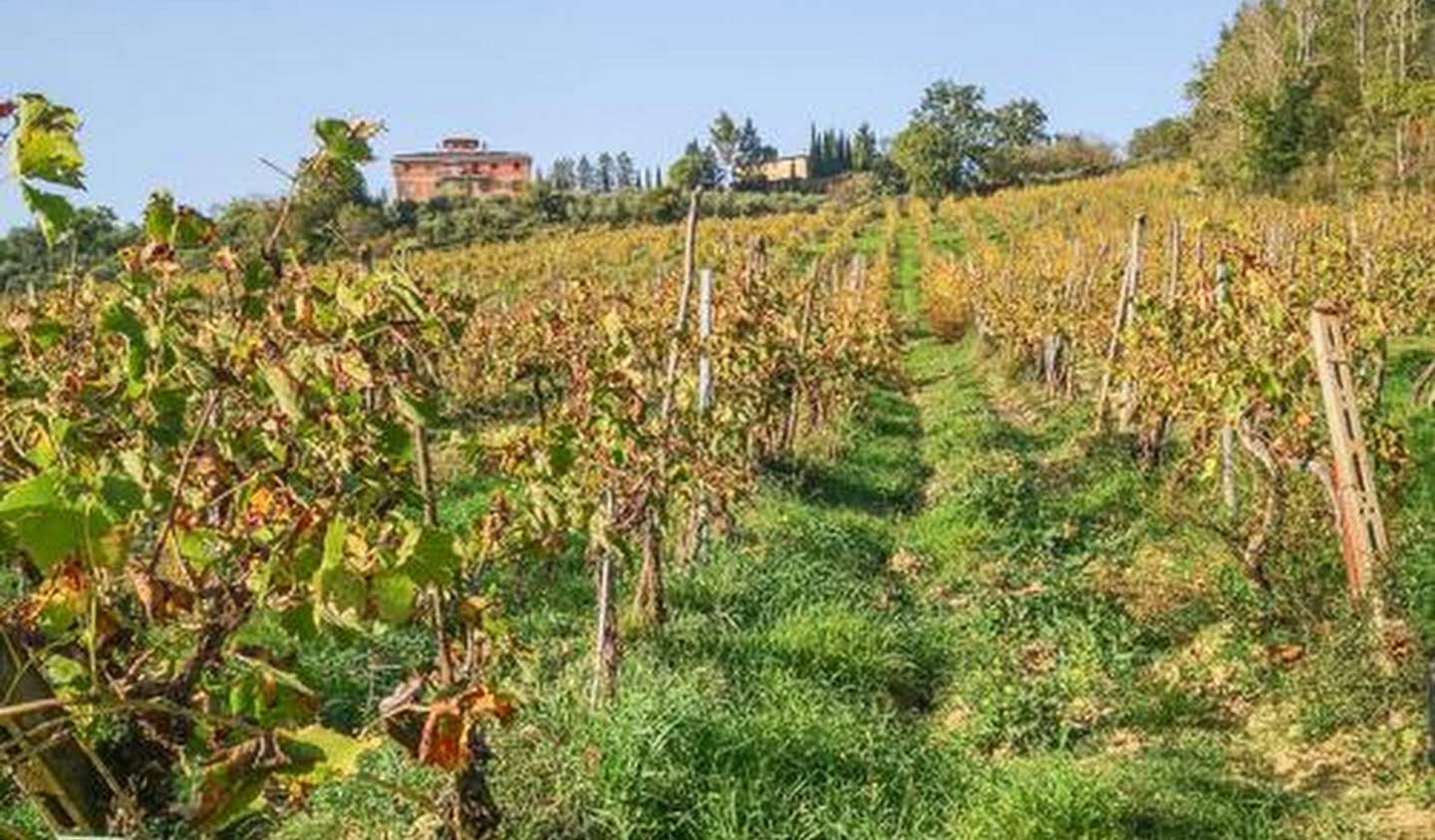 Farm house Certaldo