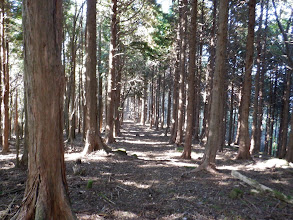 ここから山頂までは危険箇所なし