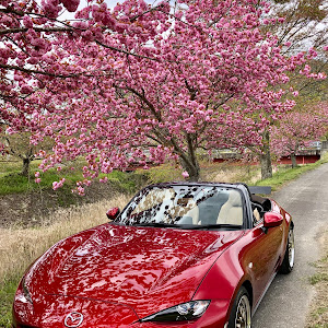 ロードスター ND5RC