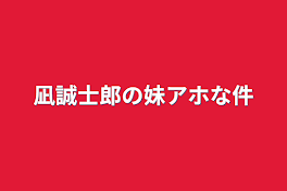 凪誠士郎の妹アホな件