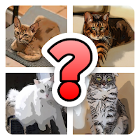 Cat Lover Quiz Guess The Breed