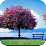 Cover Image of Download Spring wallpaper 1.01 APK