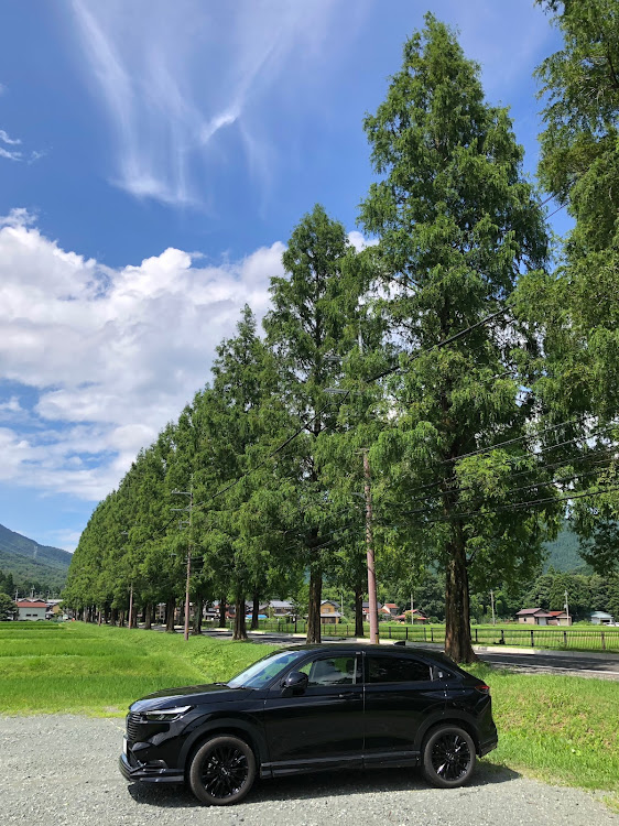 ヴェゼルのドライブ・滋賀県・メタセコイア並木・弾丸ツアー・愛車の表情に関するカスタム事例の投稿画像4枚目