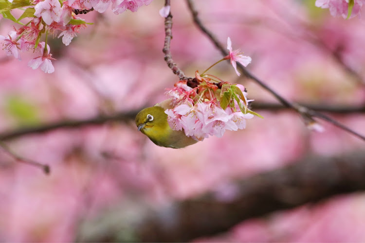 の投稿画像4枚目