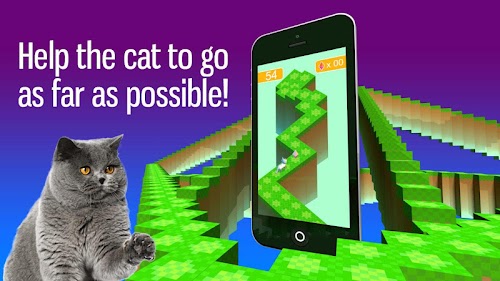 Android application Zig Zag Cat screenshort