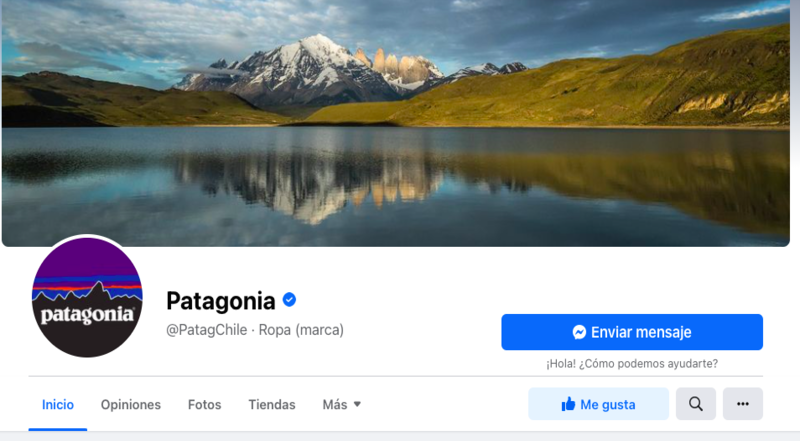 Logo empresa Patagonia