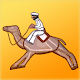 Camel Racing at the fairground