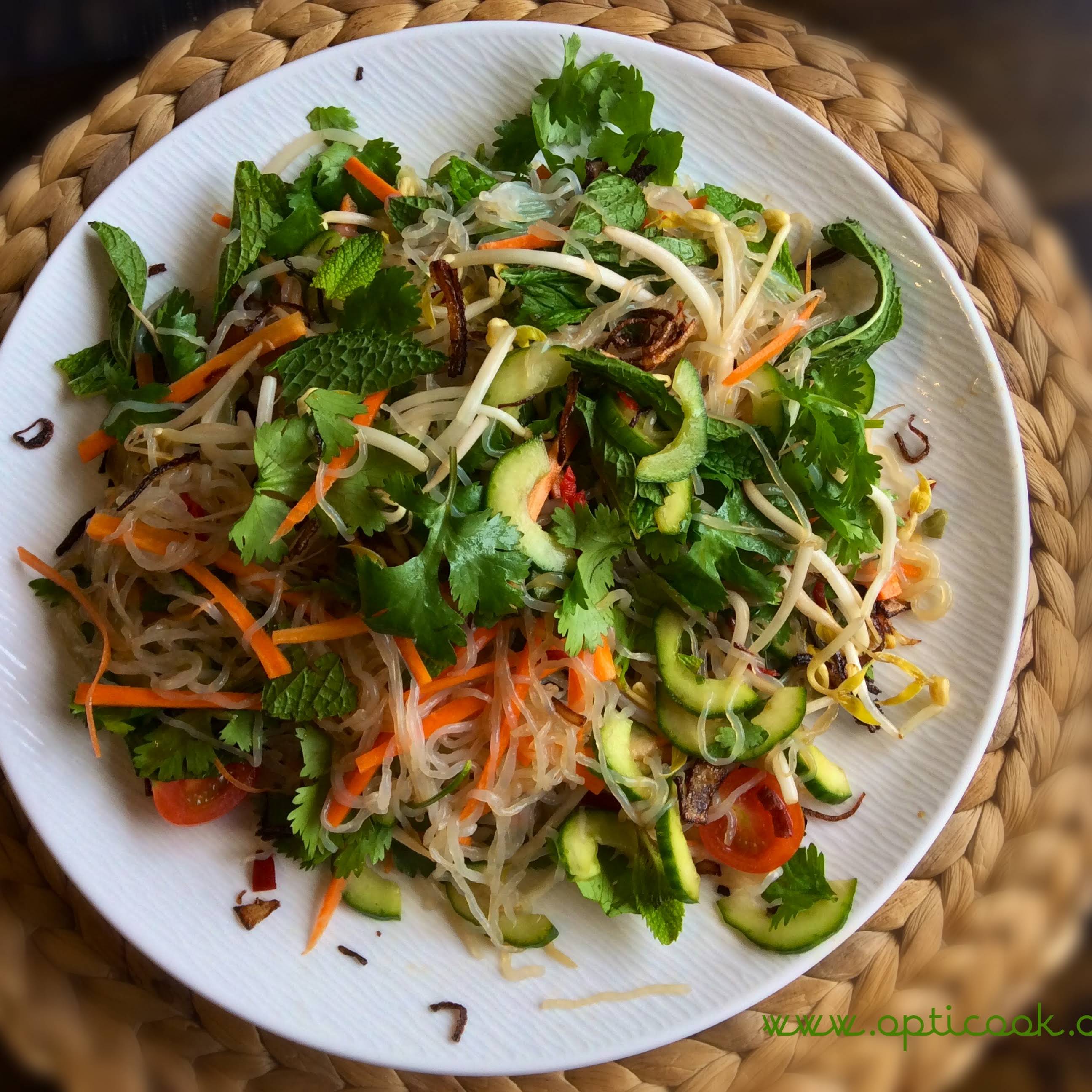 Vietnamese Konjac Noodle Salad