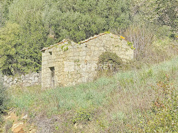 terrain à Pila-Canale (2A)