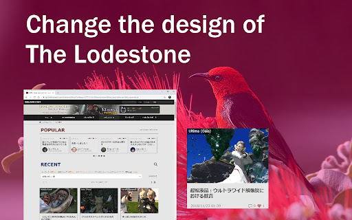 FF14 The Lodestone Improve: Astrild