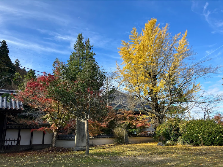 くろあげはさんが投稿した紅葉・世羅・今高野山　龍華寺に関するカスタム事例の投稿画像5枚目