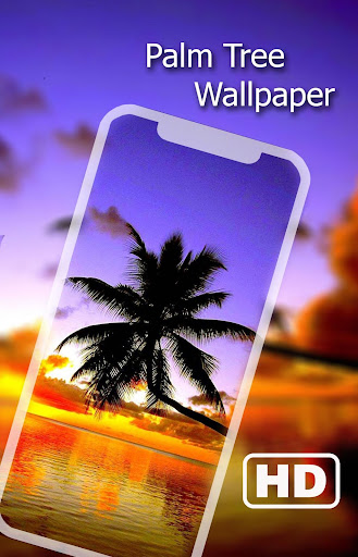 Palm Tree Wallpaper HD