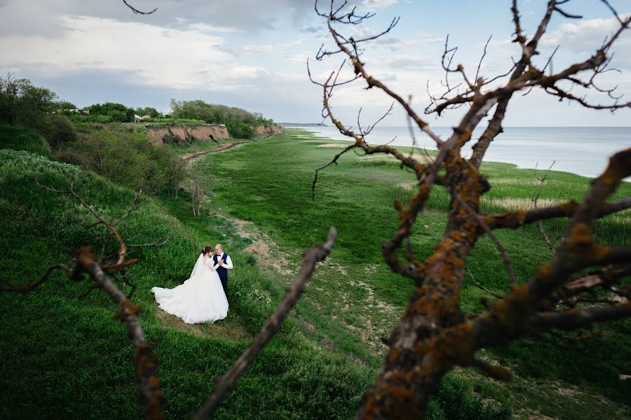 Wedding photographer Anton Bakaryuk (bakaruk). Photo of 11 February 2019