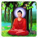 Buddha HD Wallpapers 2023