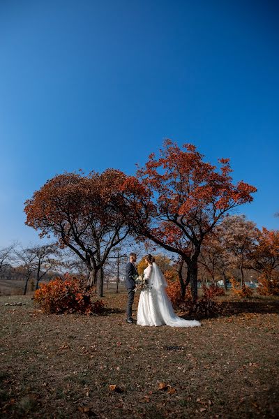 Wedding photographer Irina Krishtal (irinakrishtal). Photo of 3 November 2019