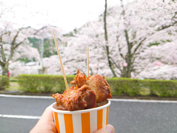 CX-30のcx30・桜・桜とコラボ🌸・マツダ・ドライブに関するカスタム事例の投稿画像13枚目
