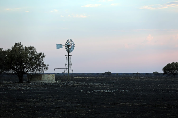 Hertzogville farmers have lost hundreds of livestock following a field fire, started by protesting informal settlement dwellers.