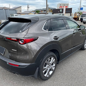 CX-30 DM8P