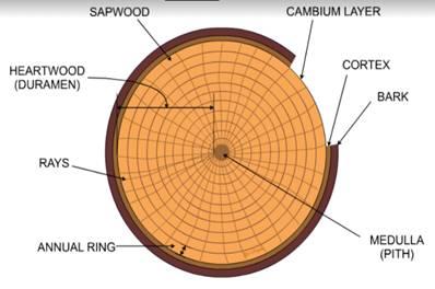 Aircraft Construction and Materials Reviewer tqsbapYQQA65zFlWiBop5LQj 31oxYt6AmGyQUuR7w78h1h6zaQNwZzGlrgvKxQ47053RYriTNxBu