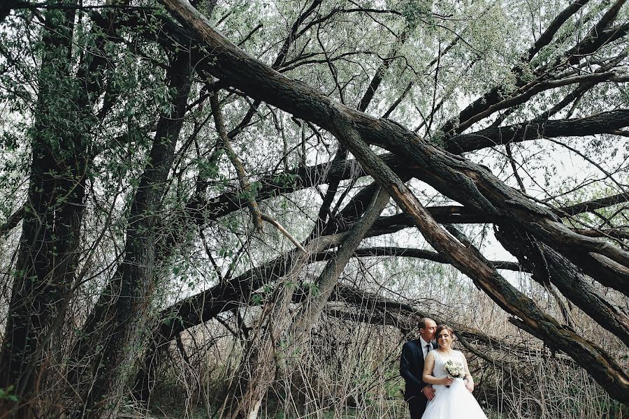 Wedding photographer Maks Vladimirskiy (vladimirskiy). Photo of 13 October 2017