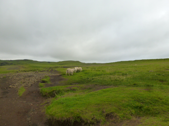 Senderismo desde Skogar a Thorsmörk por el puerto de Fimmvörduhals. - SORPRENDENTE ISLANDIA (4)