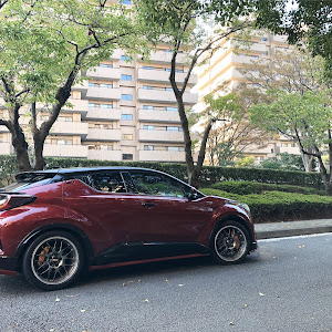 C-HR ZYX10